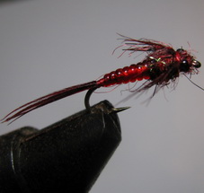 ���� ����� May Fly red nymph ������ � 12